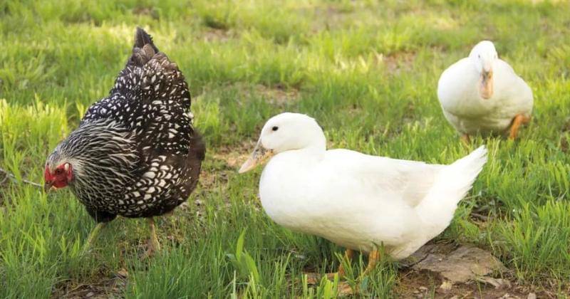 hachettebookgroup.com